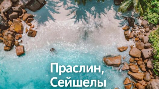 Остров Праслин на Сейшелах – как добраться, пляжи, отели и что посмотреть | фото № 27