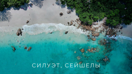 Остров Силуэт на Сейшелах: дождевые леса, гигантские черепахи и безграничный океан | фото № 23