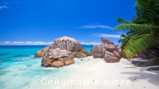 Сейшелы в июле: какая погода, море и стоит ли ехать | фото № 28 Сейшелы в июле: какая погода, море и стоит ли ехать | фото № 27
