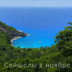 Сейшелы в ноябре: какая погода ждёт вас, стоит ли ехать и что говорят туристы | фото № 14