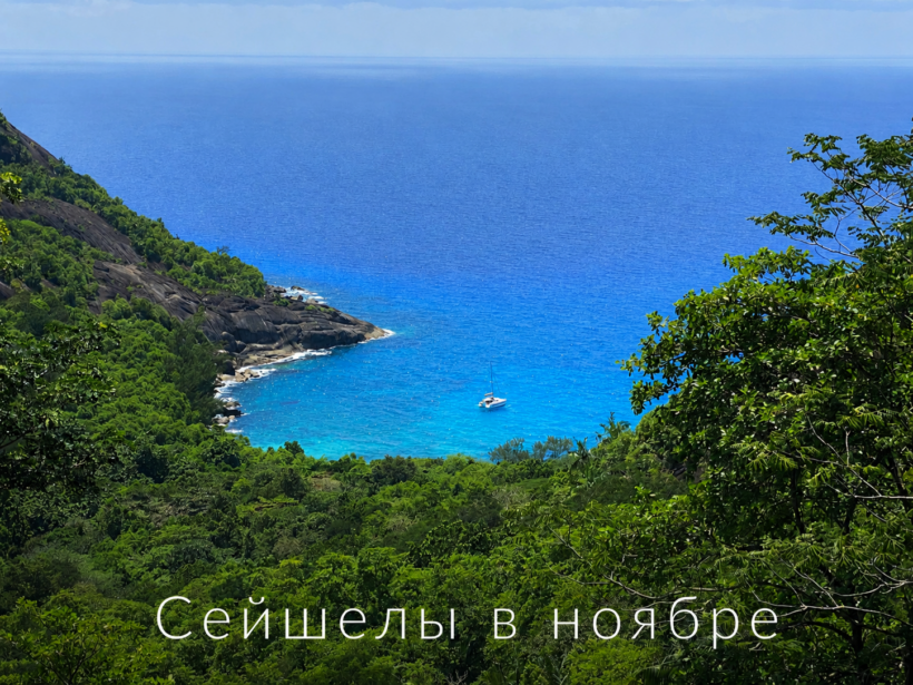 Сейшелы в ноябре: какая погода ждёт вас, стоит ли ехать и что говорят туристы | фото № 9