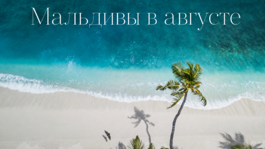 Стоит ли ехать на Мальдивы в августе: честные отзывы, погода по атоллам и правда о пляжном отдыхе | фото № 17